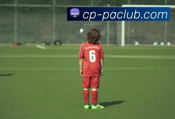 PA官方入口发展历程